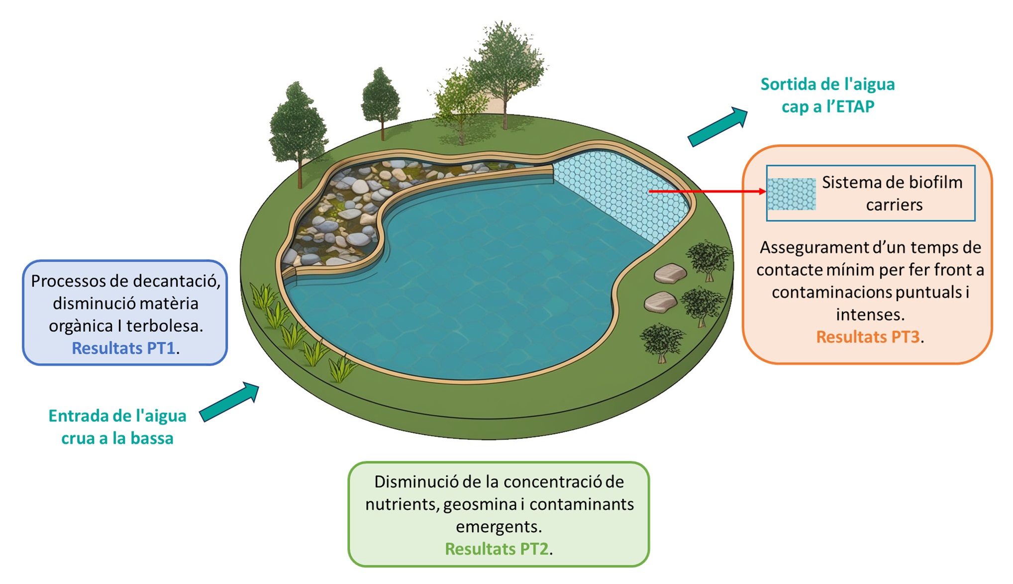 Projecte Biobass d'Aigües Vic i el Centre Beta de la Universitat de Vic